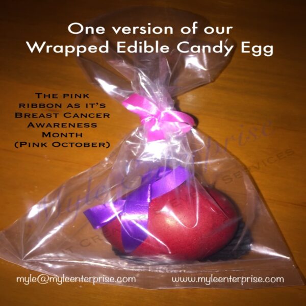 Myle Enterprise Decorated Egg Pink October edition