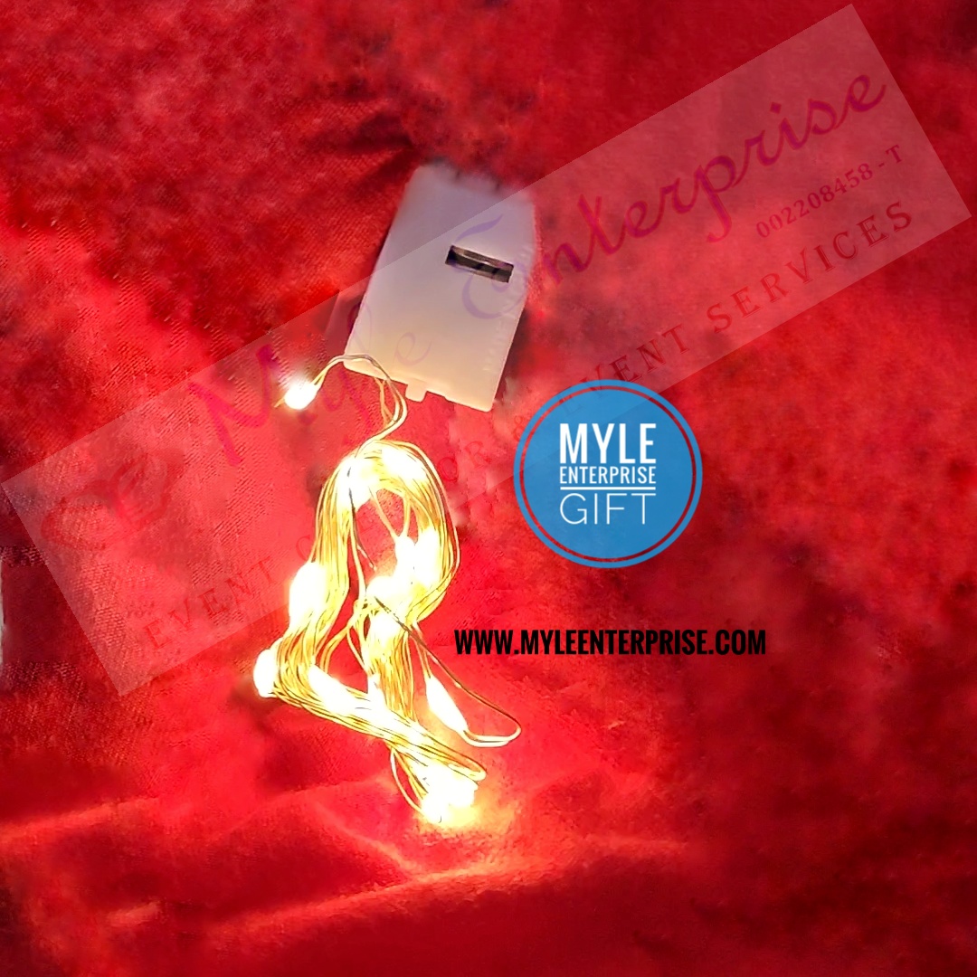 Fairy Lights (for decoration, gift; battery included) , Myle Enterprise